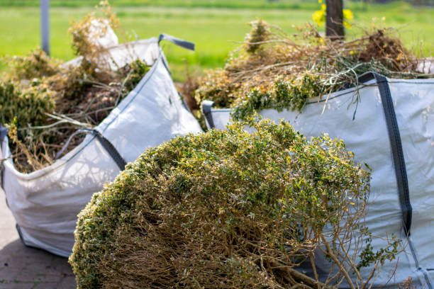 Best Junk Removal and Recycling  in Buchanan, MI